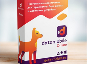 Программное обеспечение DataMobile Online