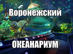 Воронежский океанариум