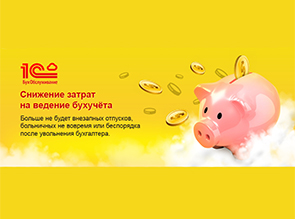 CSN-учет – бухгалтерия по лучшим стандартам в России!