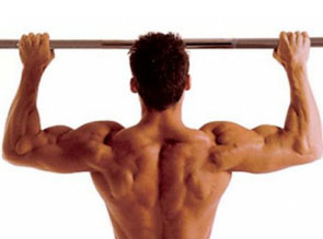 Несколько отличных упражений для укрепления мышц спины