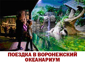 Поездка в Воронежский океанариум